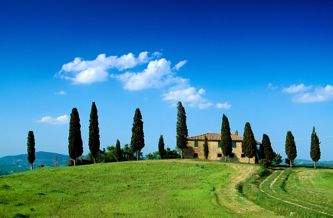 Landhaus mit Zypressen unter blauem Himmel, Val d'Orcia, Toskana, Italien, Europa