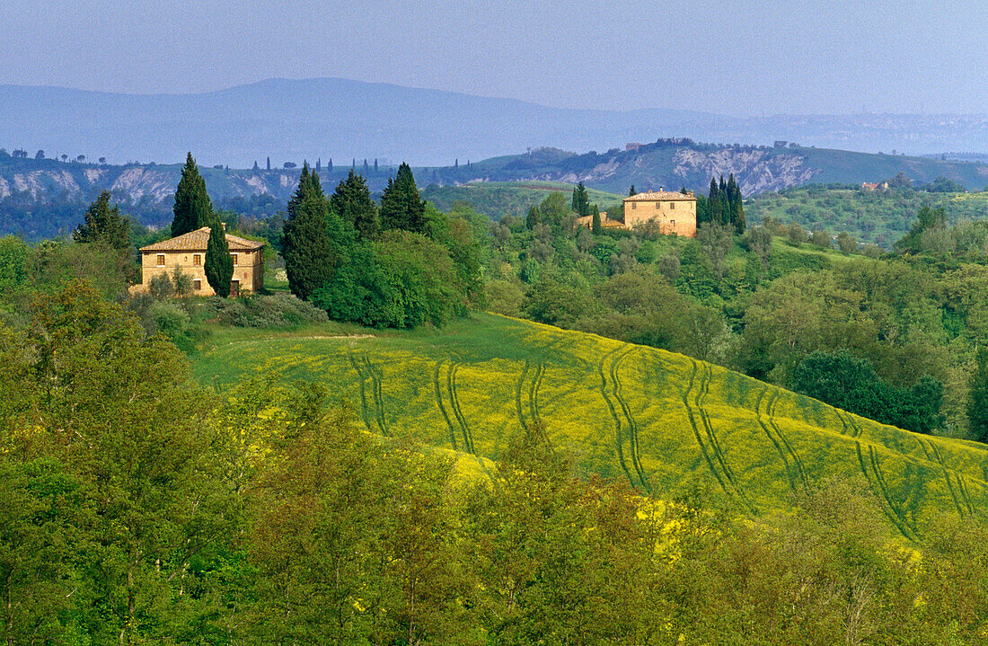 Hilly landscape with country houses, Tuscany, Italy, Europe
