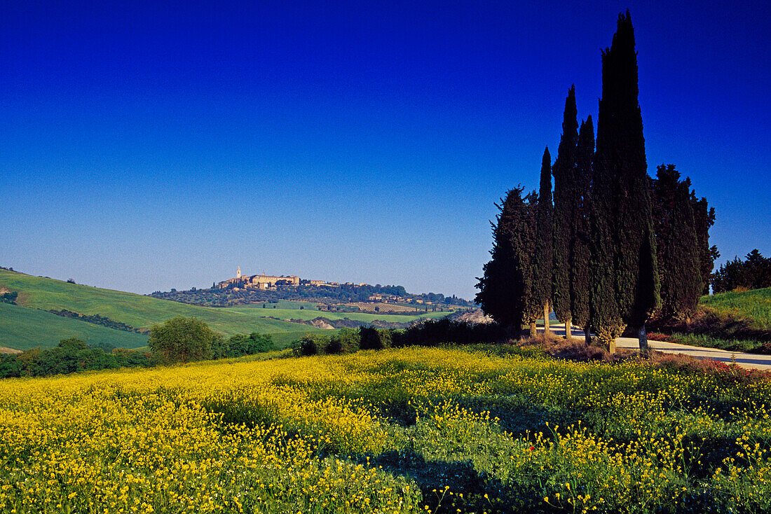 Landschaft unter blauem Himmel, Blick auf die Stadt Pienza auf einem Hügel, Val d'Orcia, Toskana, Italien, Europa