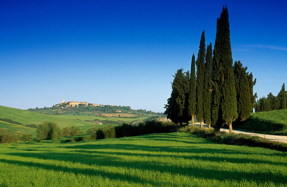 Landscape under blue sky, view at the town Pienza on a hill, Val d'Orcia, Tuscany, Italy, Europe