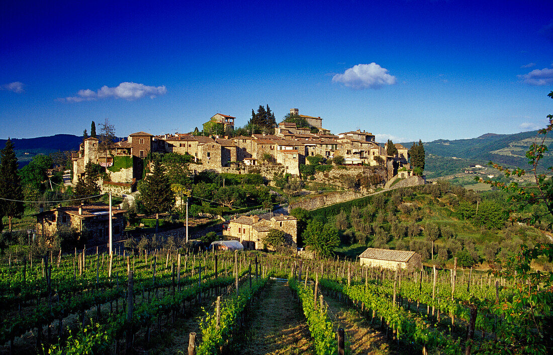 Weindorf Montefioralle unter blauem Himmel, Chianti Region, Toskana, Italien, Europa