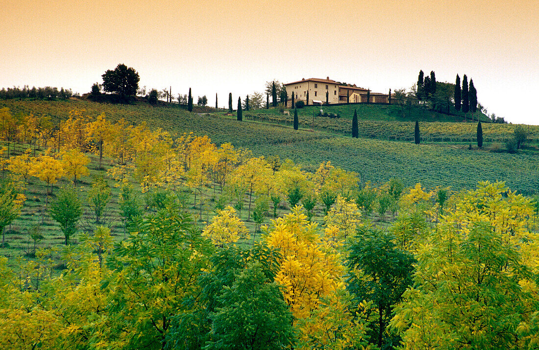 Landhaus auf einem Hügel im Morgenrot, Toskana, Italien, Europa