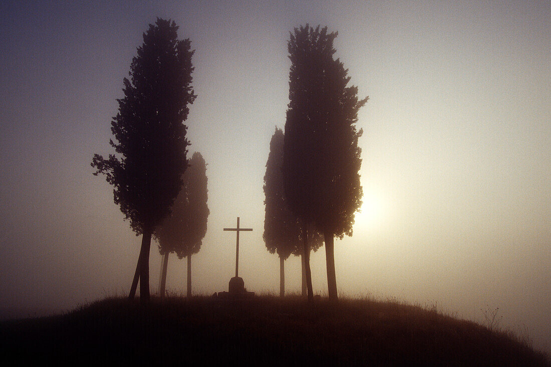 Zypressen an einem Friedhof, Val d'Orcia, Toskana, Italien, Europa