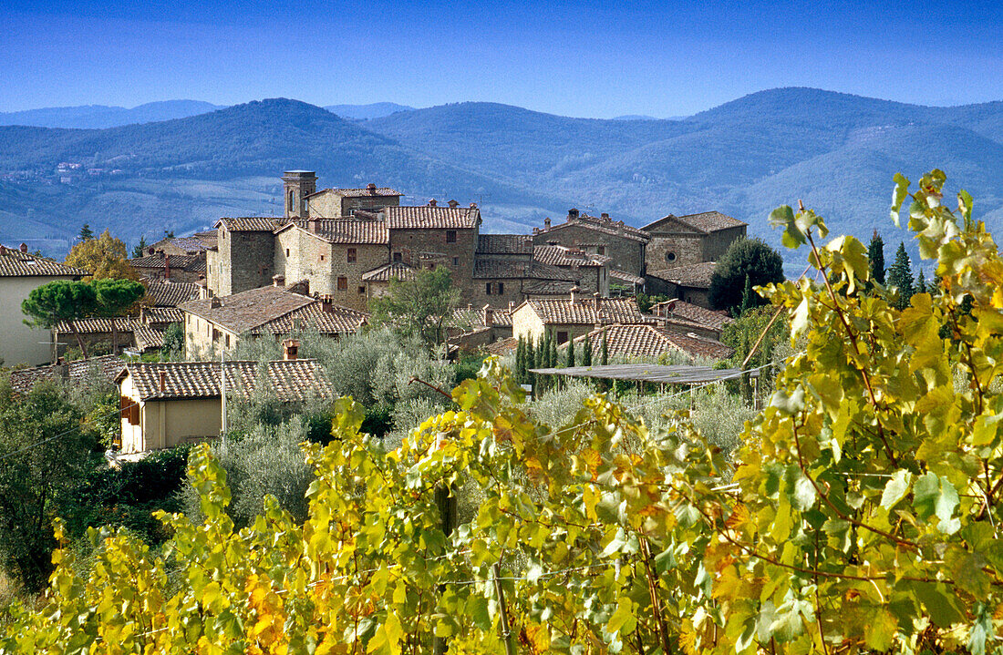 The wine village Castello di Volpaia in the sunlight, Chianti region, Tuscany, Italy, Europe