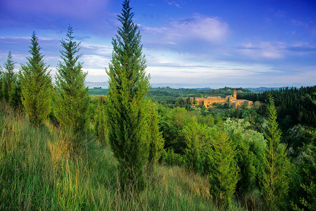 Kloster Monte Oliveto Maggiore, Toskana, Italien, Europa