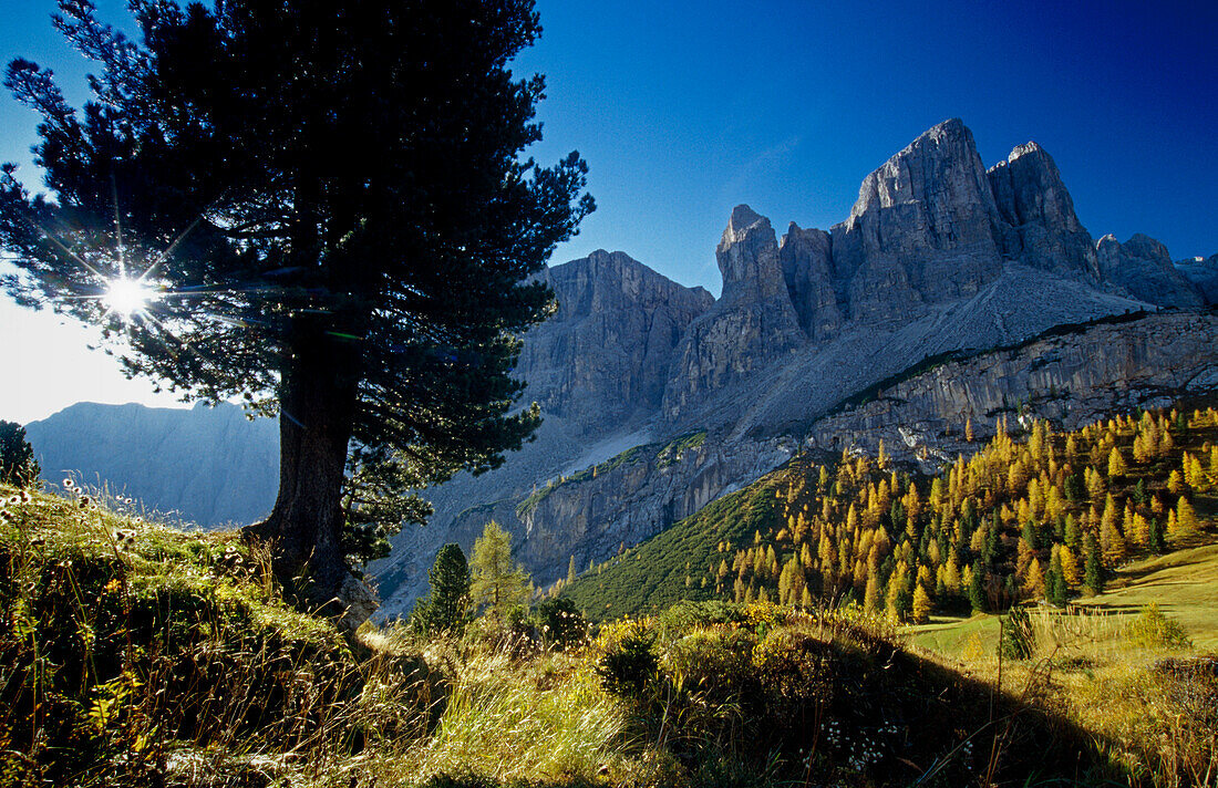 Grödner Joch, Sella Gruppe, Dolomiten, Südtirol, Italien