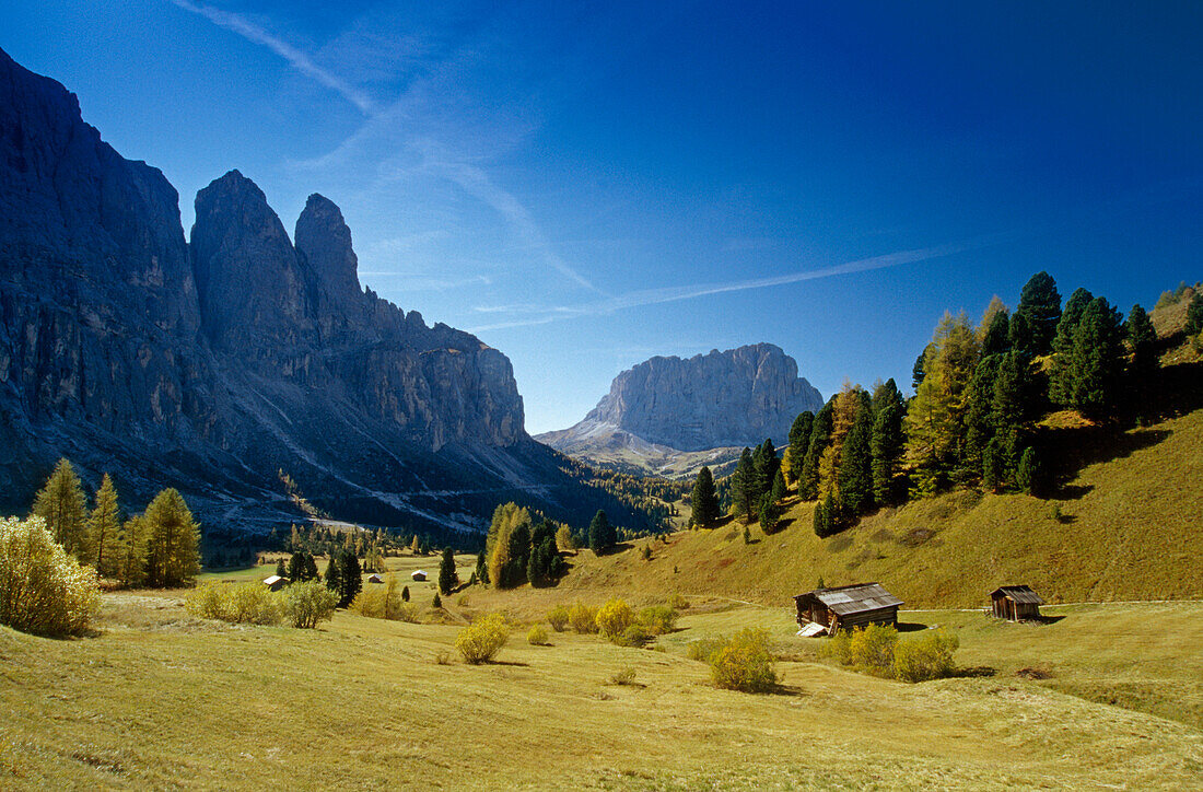 Blick zum Langkofel, Grödner Joch, Sella Gruppe, Dolomiten, Südtirol, Italien