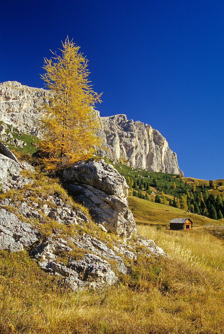 View from Passo di Gardena to Val Badia, Dolomite Alps, South Tyrol, Italy