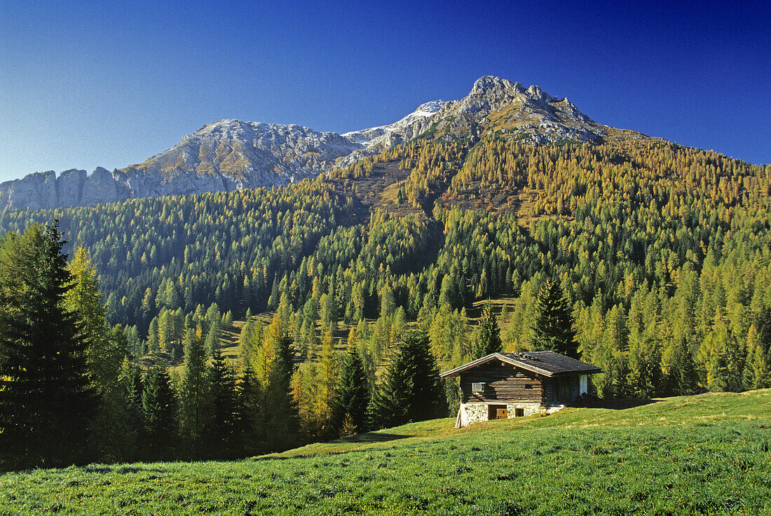 Almhütte am Karerpass, Blick zum Latemar, Dolomiten, Südtirol, Italien