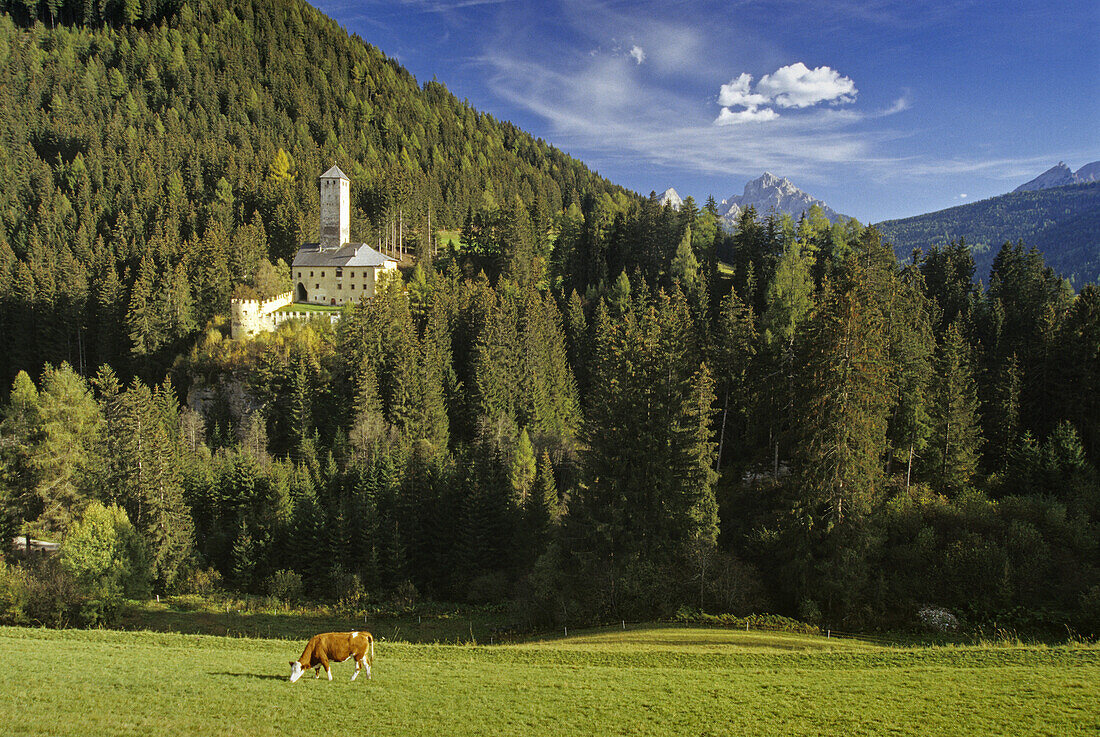 Schloss Welsberg, Pustertal,  Dolomiten, Südtirol, Italien