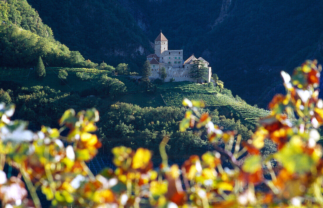 Cornedo castle, Val d' Ega, Dolomite Alps, South Tyrol, Italy