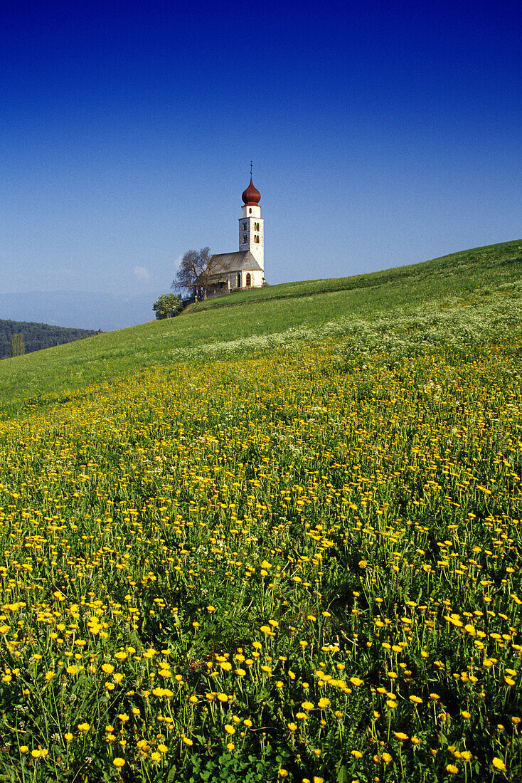 Blumenwiese, Kapelle St. Valentin, Seis am Schlern, Dolomiten, Südtirol, Italien