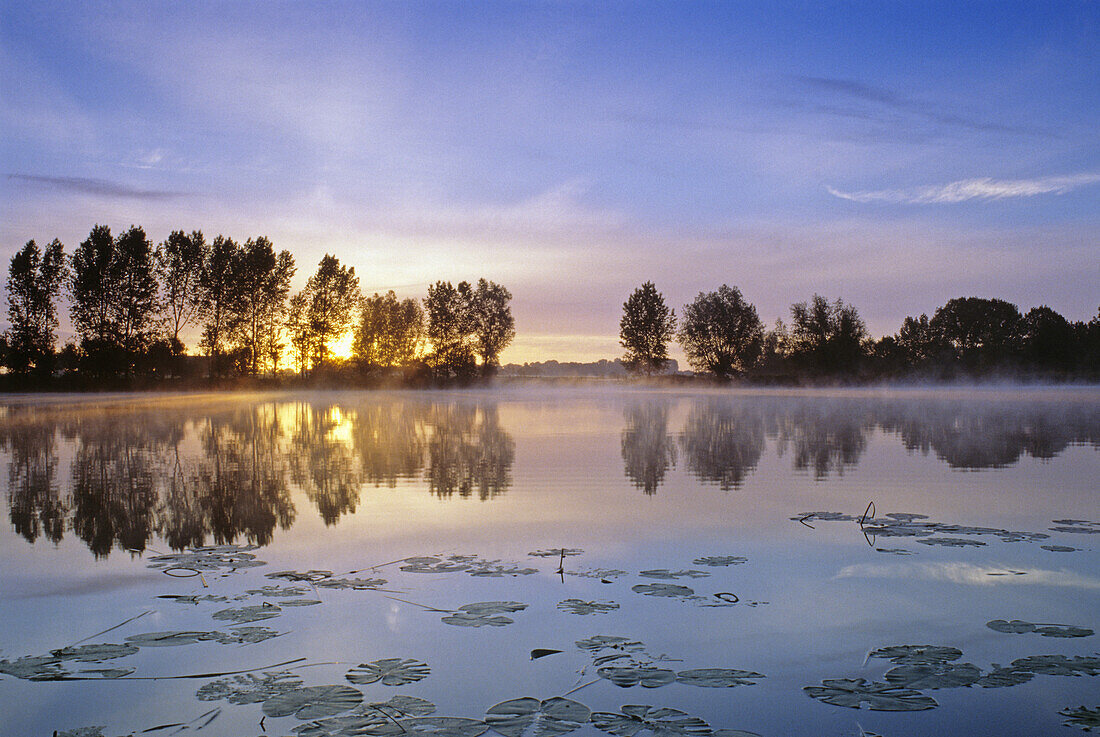 Sunrise at Lake Millinger, old arm of Rhine river, near Rees, Lower Rhine, North Rhine-Westphalia, Germany