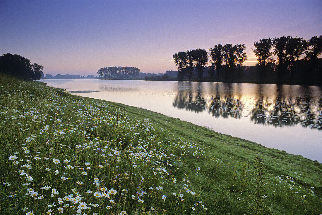 Morgenstimmung am Birtener Altrhein bei Xanten, Niederrhein, Nordrhein-Westfalen, Deutschland