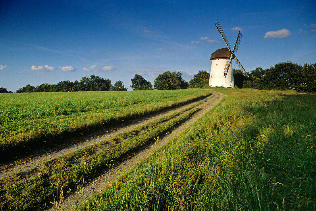 Engelsberg windmill, near Krefeld, Lower Rhine Region, North Rhine-Westphalia, Germany