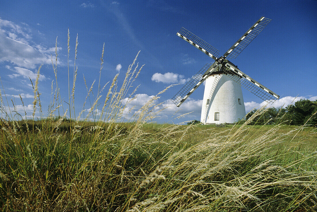 Engelsberg Windmühle, bei Krefeld, Niederrhein, Nordrhein Westfalen, Deutschland