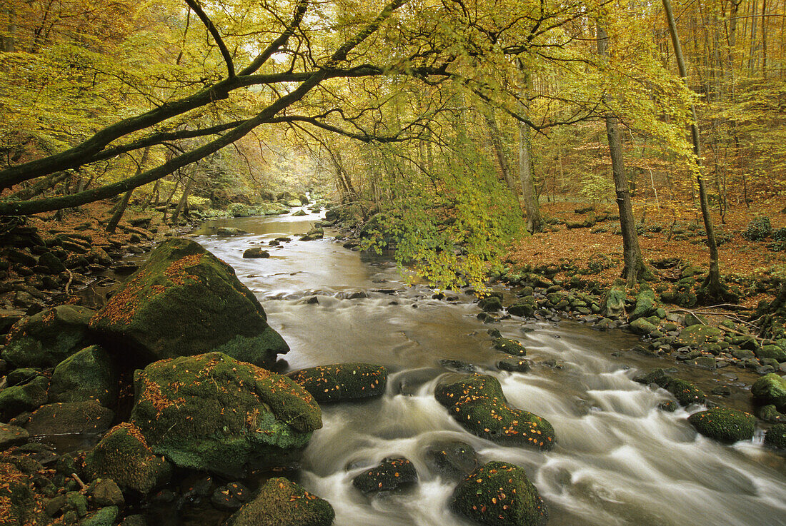 Irreler Wasserfälle, Stromschnellen des Flüßchens Prüm, bei Irrel, Eifel, Rheinland Pfalz, Deutschland
