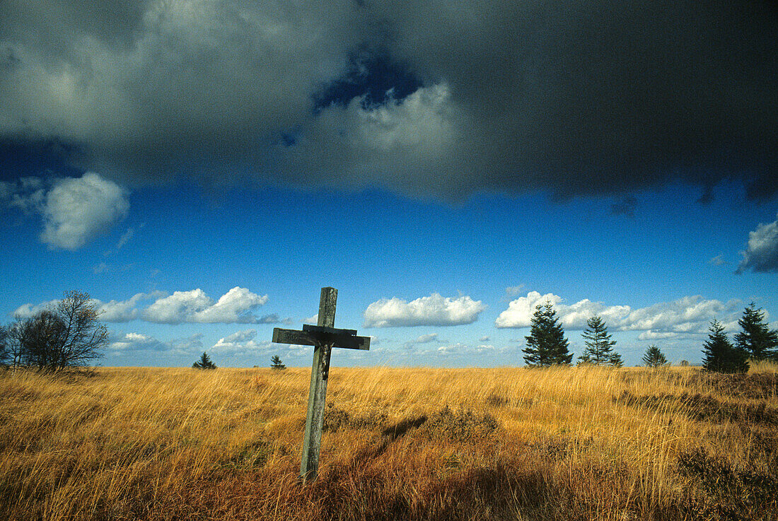 Cross at Hohes Venn, High Fens, raised moor, near Monschau, Eifel, North Rhine Westphalia, Germany