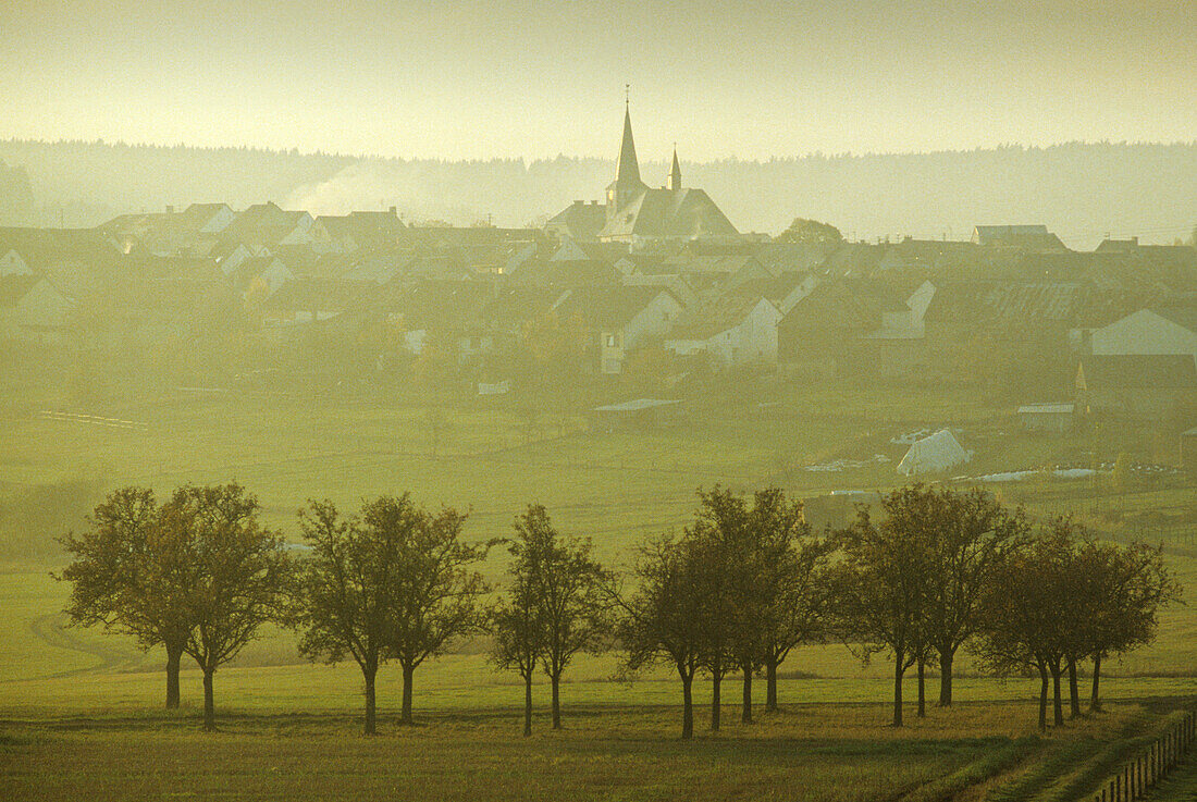 Bettenfeld im Morgenlicht, Eifel, Rheinland Pfalz, Deutschland