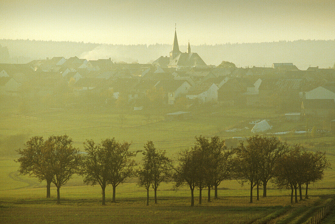 Bettenfeld in the morning light, Eifel, Rhineland Palatinate, Germany