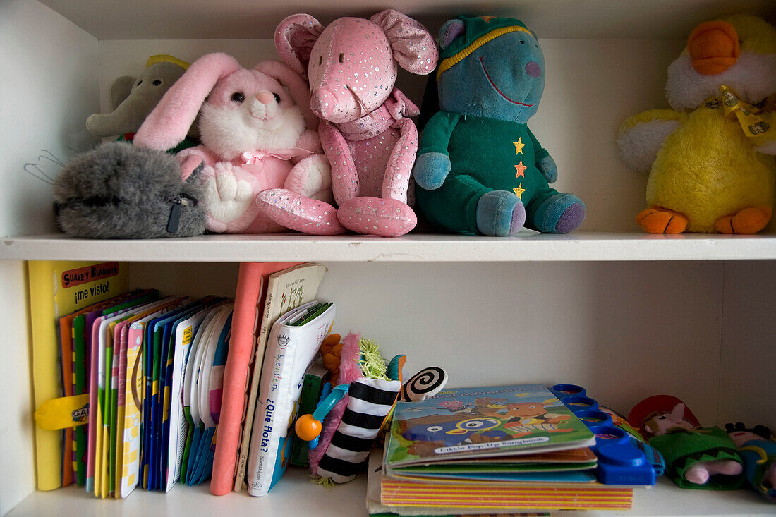 Book, Bookcase, Bookcases, Books, childhood, Color, Colour, Concept, Concepts, education, Growing, Growth, indoor, indoors, infancy, interior, learn, learning, Leisure, Many, Object, Objects, Reading, Shelf, Shelves, Shelving, Still life, Teddy bear, Tedd