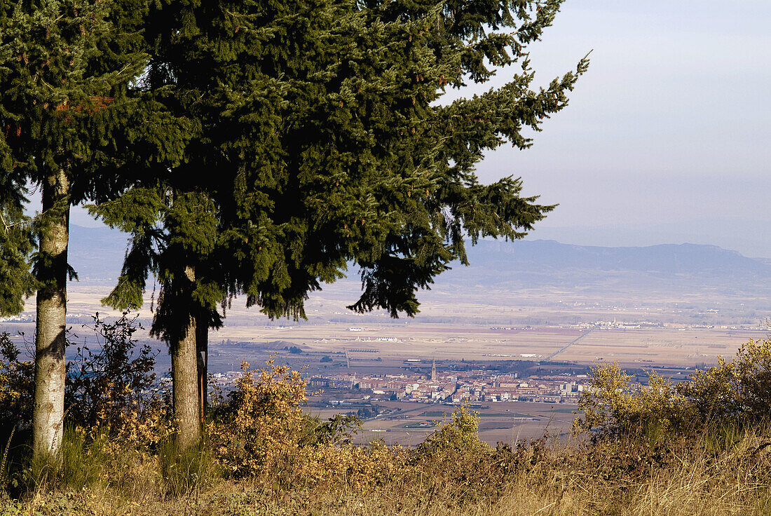 Santo Domingo de la Calzada. La Rioja, Spain