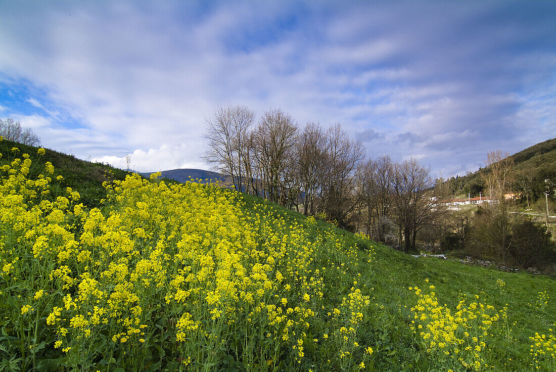 Ramales de la Victoria. Cantabria, Spain.