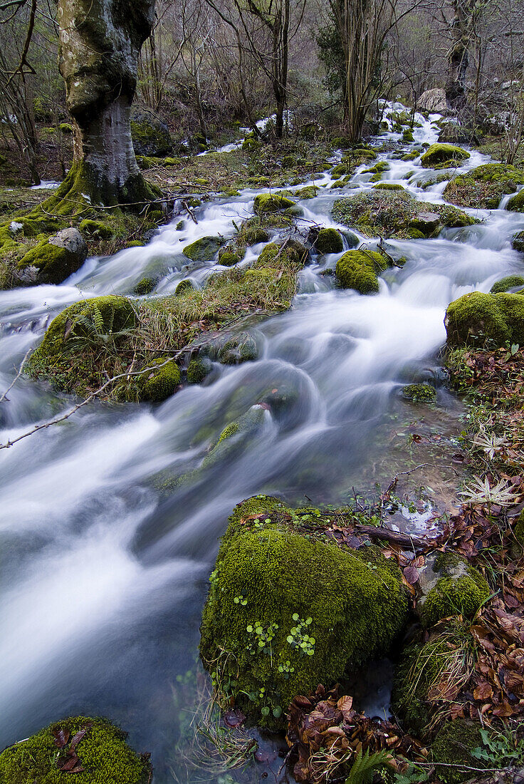 Asón river, Ramales de la Victoria, Cantabria. Spain.