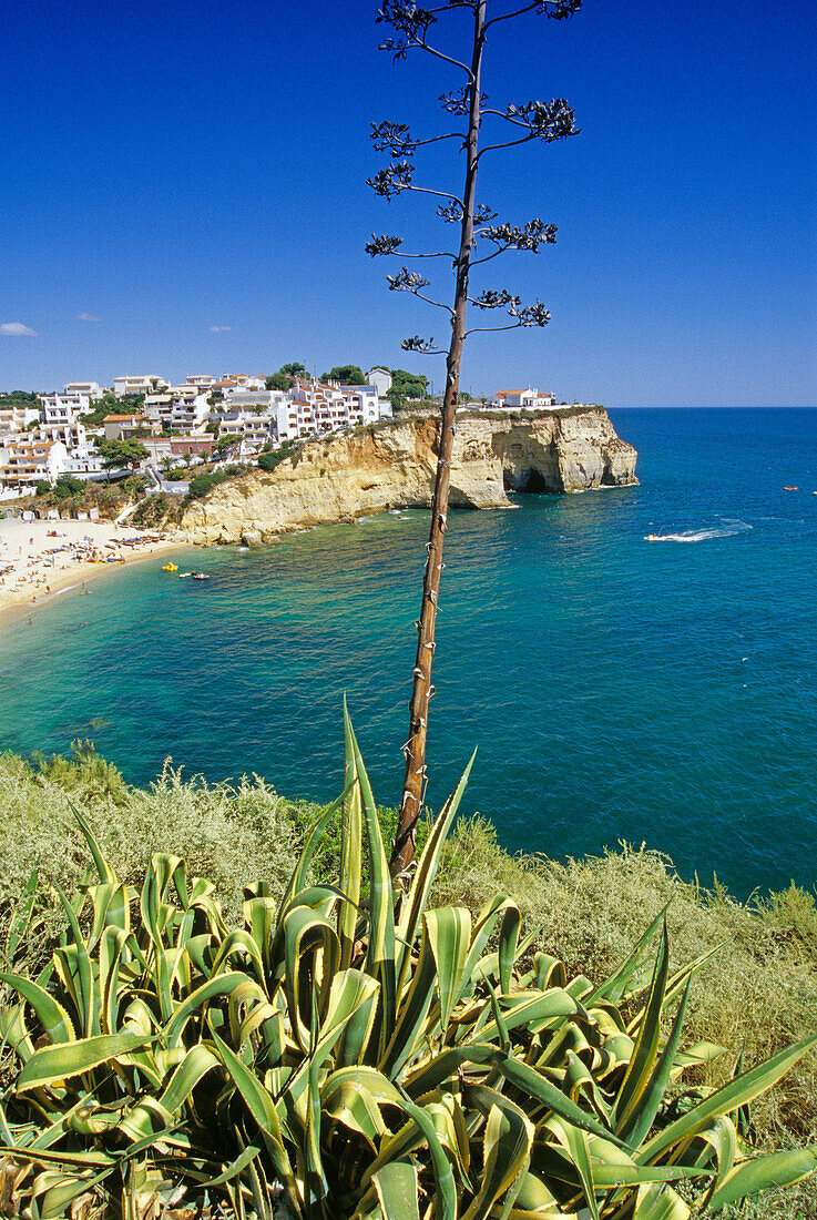 Blick auf die Küstenstadt Carvoeiro im Sonnenlicht, Algarve, Portugal, Europa