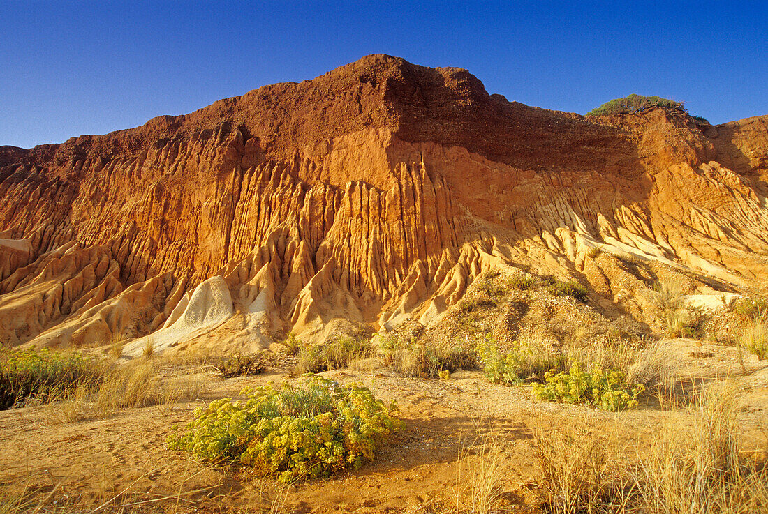 Barren landscape under blue sky at the rocky coast Praia da Falesia, Algarve, Portugal, Europe