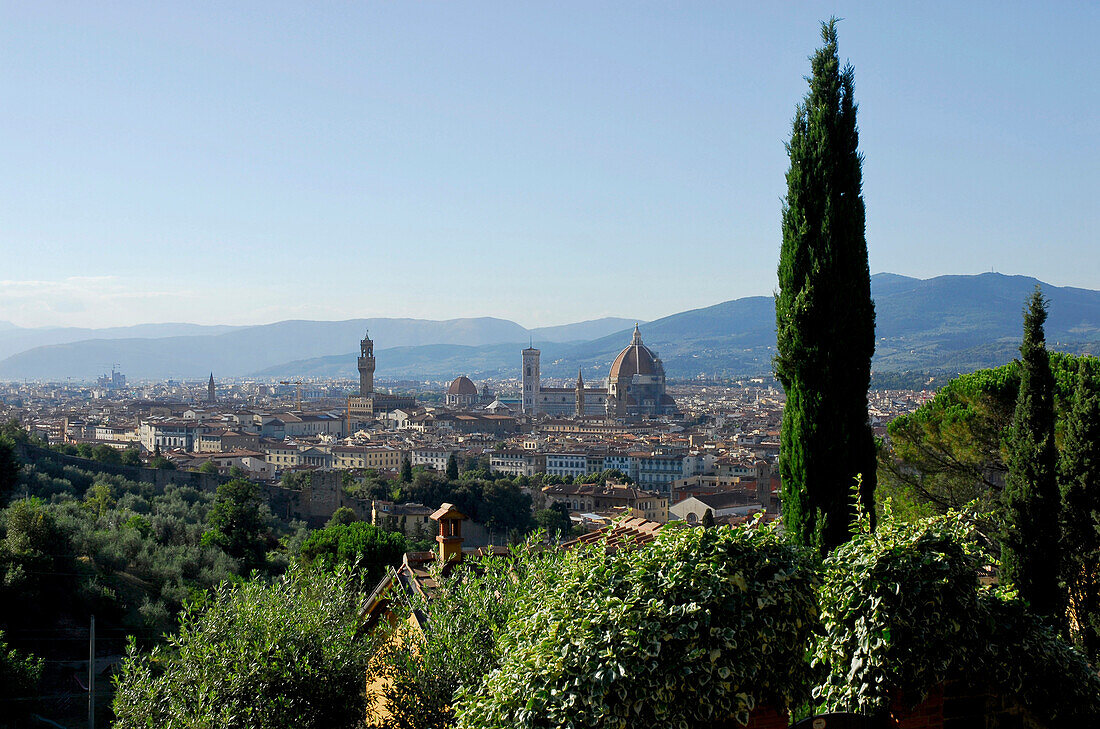 Blick auf Florenz mit Dom und Palazzo Vecchio im Sonnenlicht, Florenz, Toskana, Italien, Europa