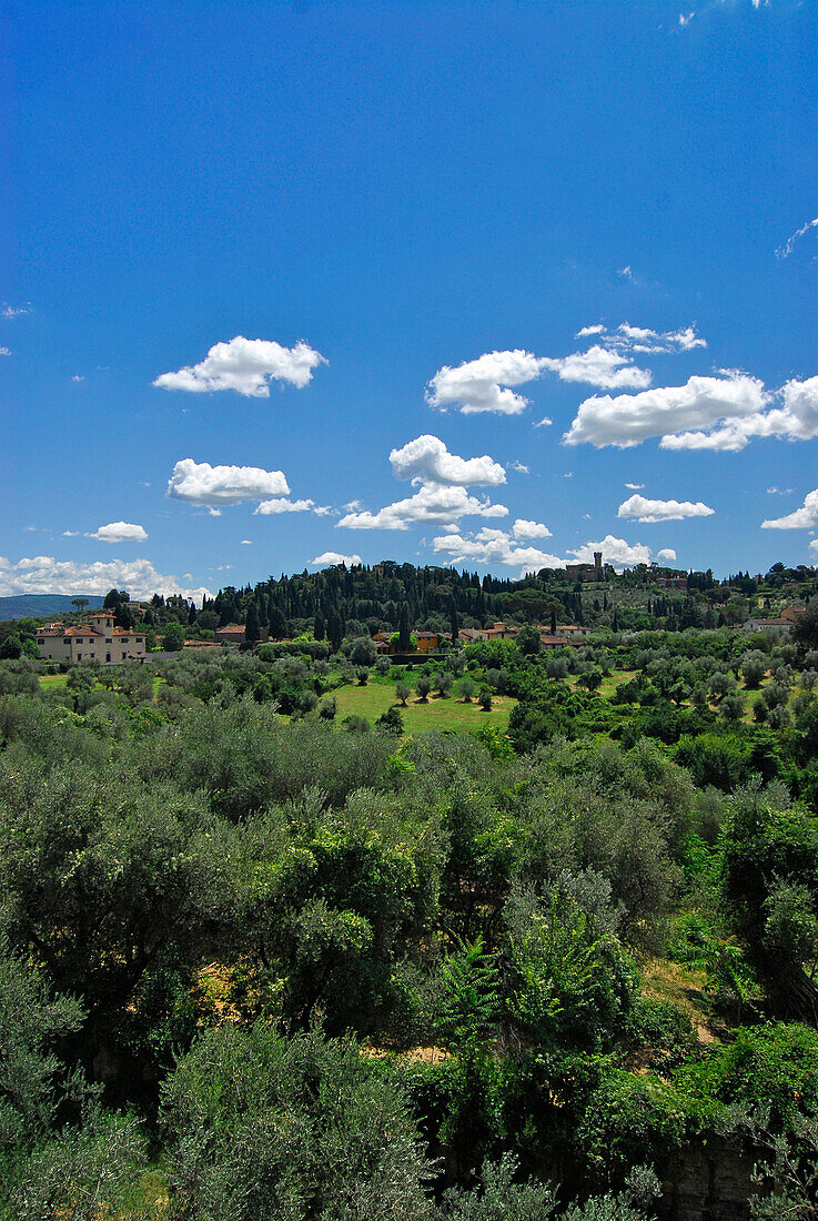 Boboli Garten, Blick über grüne Landschaft unter blauem Himmel, Florenz, Toskana, Italien, Europa