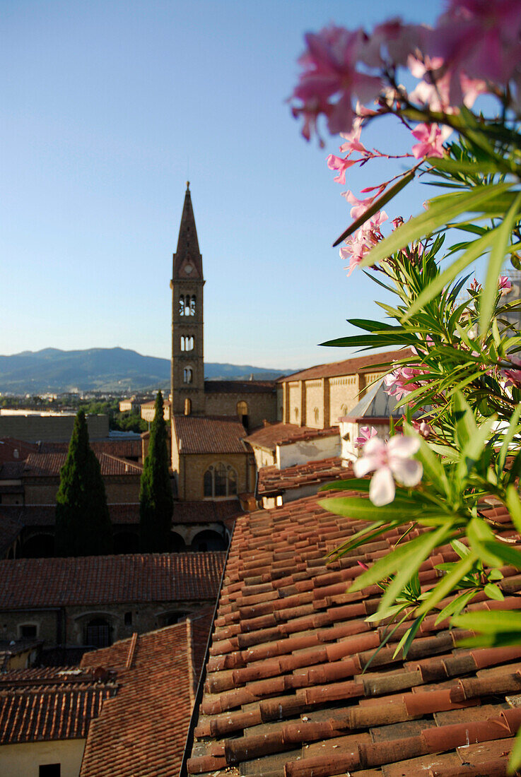 View over roofs at the church Santa Maria Novella, Florence, Tuscany, Italy, Europe