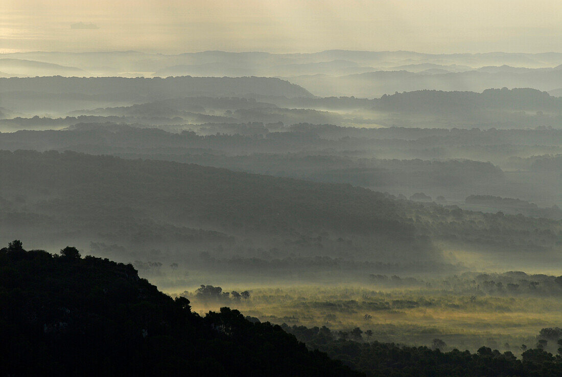 Landschaft nordöstlich vom  Monte Toro bei Sonnenaufgang, Menorca, Balearen, Spanien