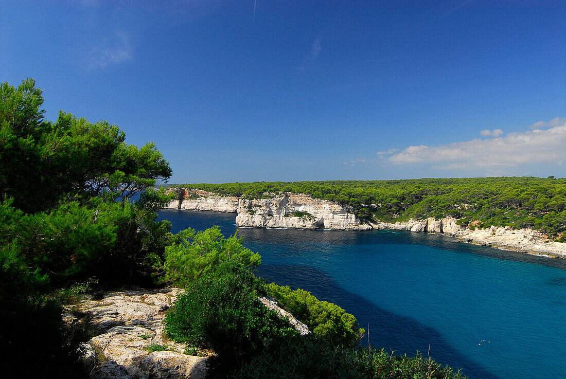 Rocky cliff and pine forest at Cala Galdana, Minorca, Balearic Islands, Spain
