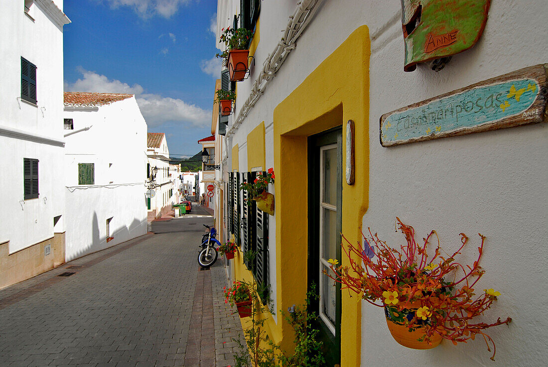 White painted houses and flower decorations in Ferreries, Minorca, Balearic Islands, Spain