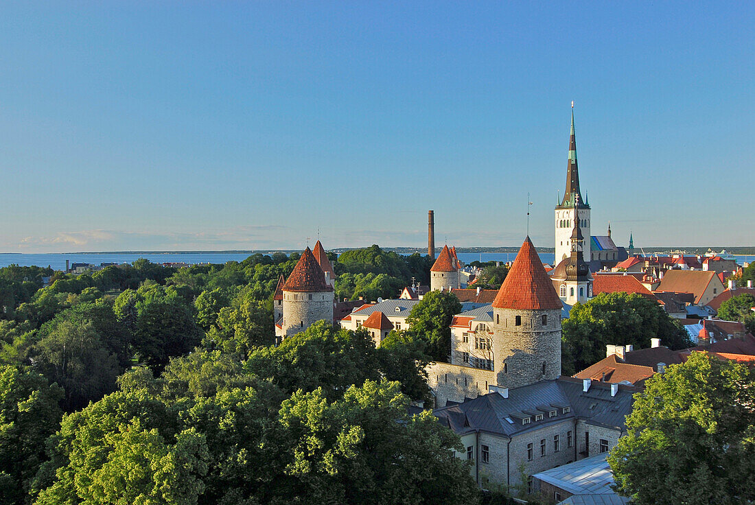 View from the cathedral hill, Toompea, towards the lower old town with city walls and St. Olafs church, Tallinn, Estonia
