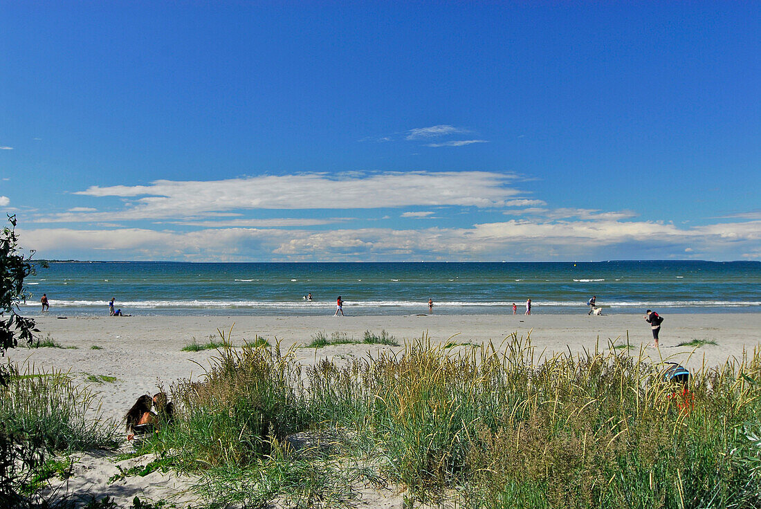 Beach at Kadriorg, Tallinn, Estonia
