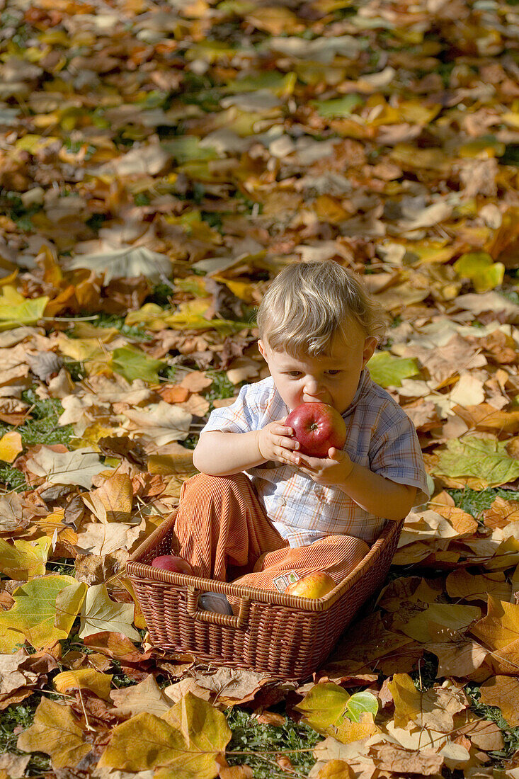 Kind sitzt in einem Korb und isst einen Apfel, Deutschland