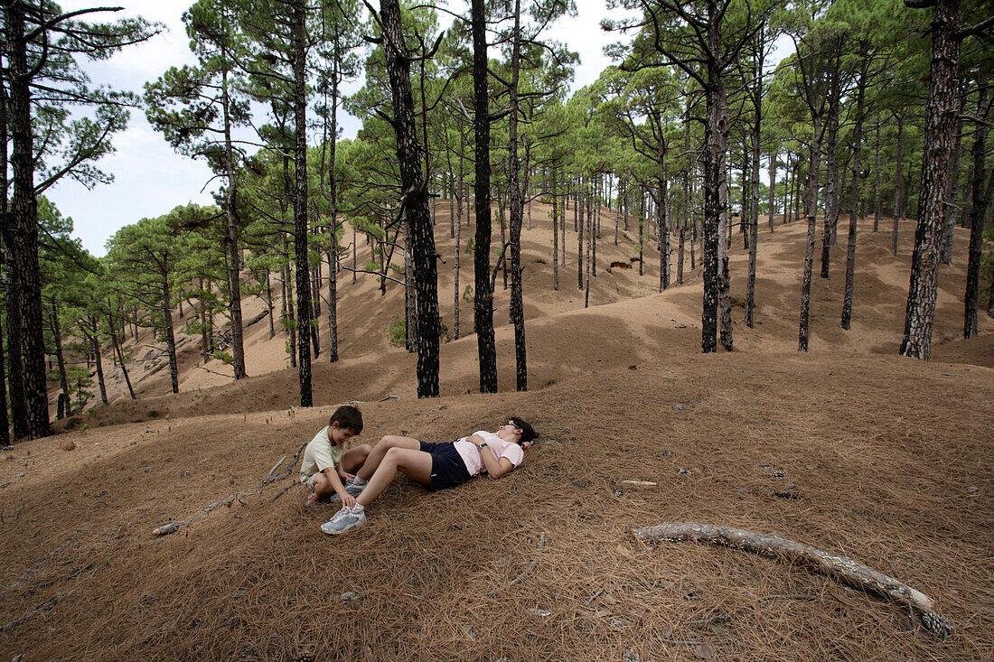 Hiker, resting under pine trees, El Julan, El Hierro, Canary Islands, Spain