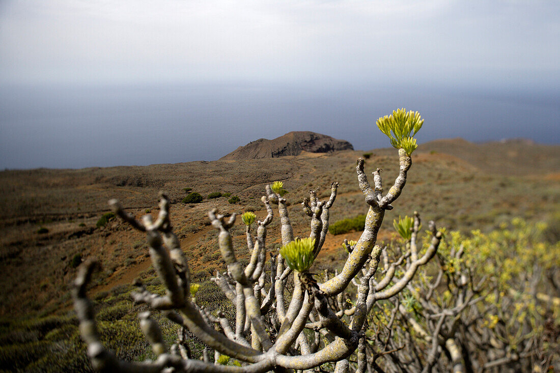 La Dehesa, El Hierro, Kanarische Inseln, Spanien