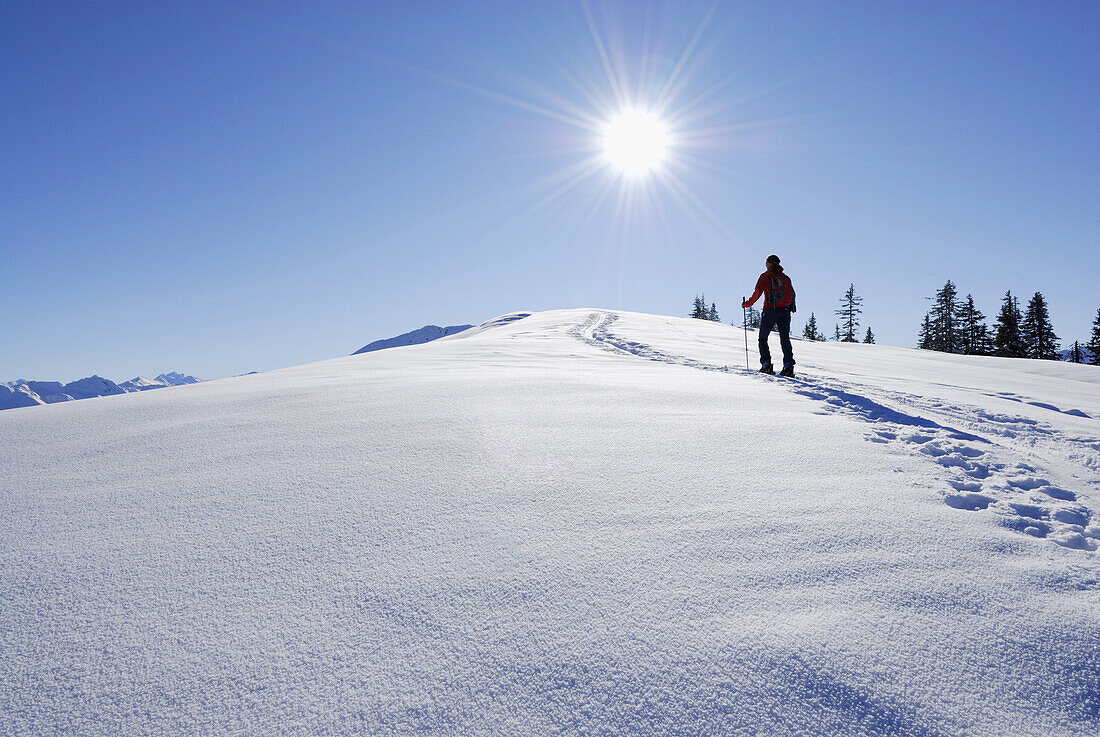 Woman backcountry skiing ascending, Lodron, Kitzbuehel Alps, Tyrol, Austria