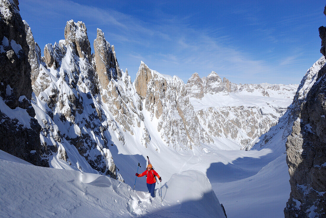 Female backcountry skier ascending, Cadini range, Dolomites, Trentino-Alto Adige/Südtirol, Italy