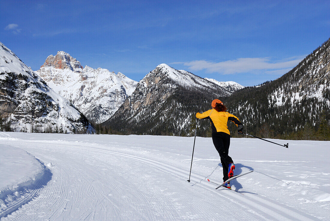Woman cross-country skiing near Schluderbach, Cristallo range, Dolomites, Veneto, Italy