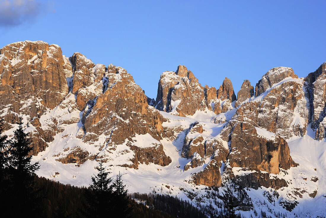Felswände im Sonnenlicht, Passo Valles, Pala, Dolomiten, Trentino-Südtirol, Italien