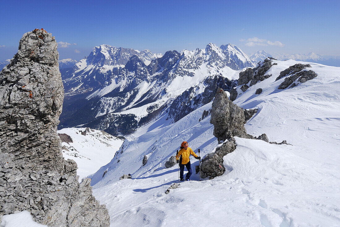 Skitourgeherin steigt zum Gipfel des Hochwannig auf, Mieminger Gebirge, Tirol, Österreich