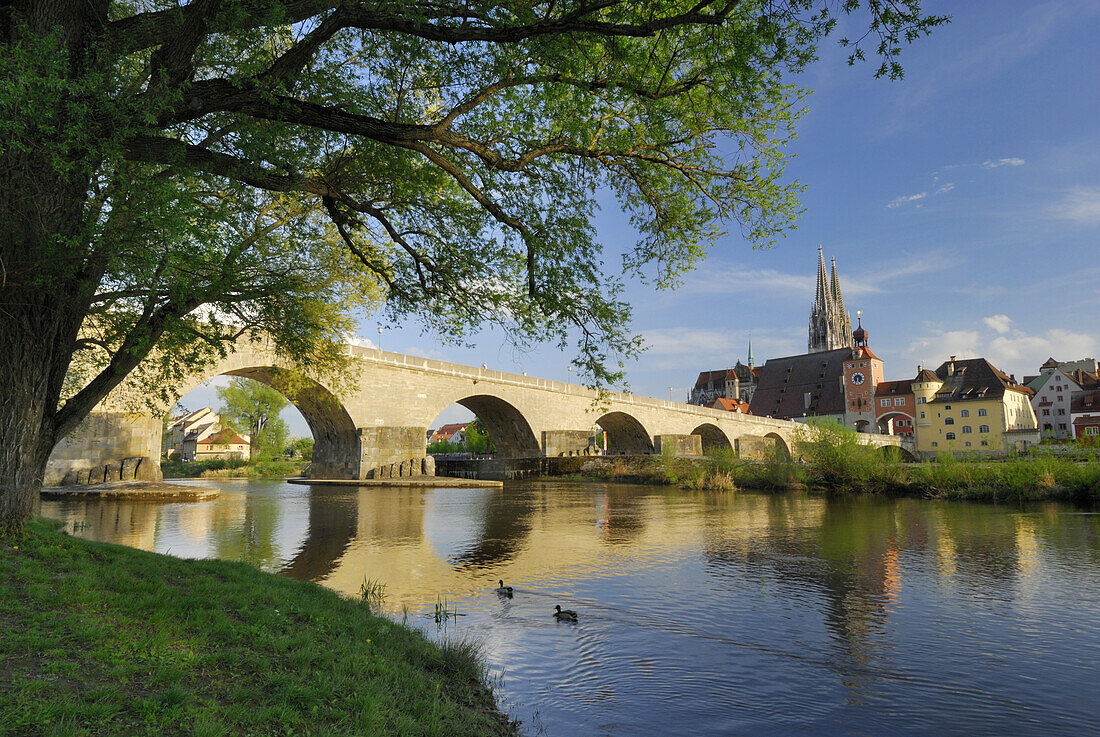 Blick auf die Altstadt mit Regensburger Dom, Regensburg, Oberpfalz, Bayern, Deutschland