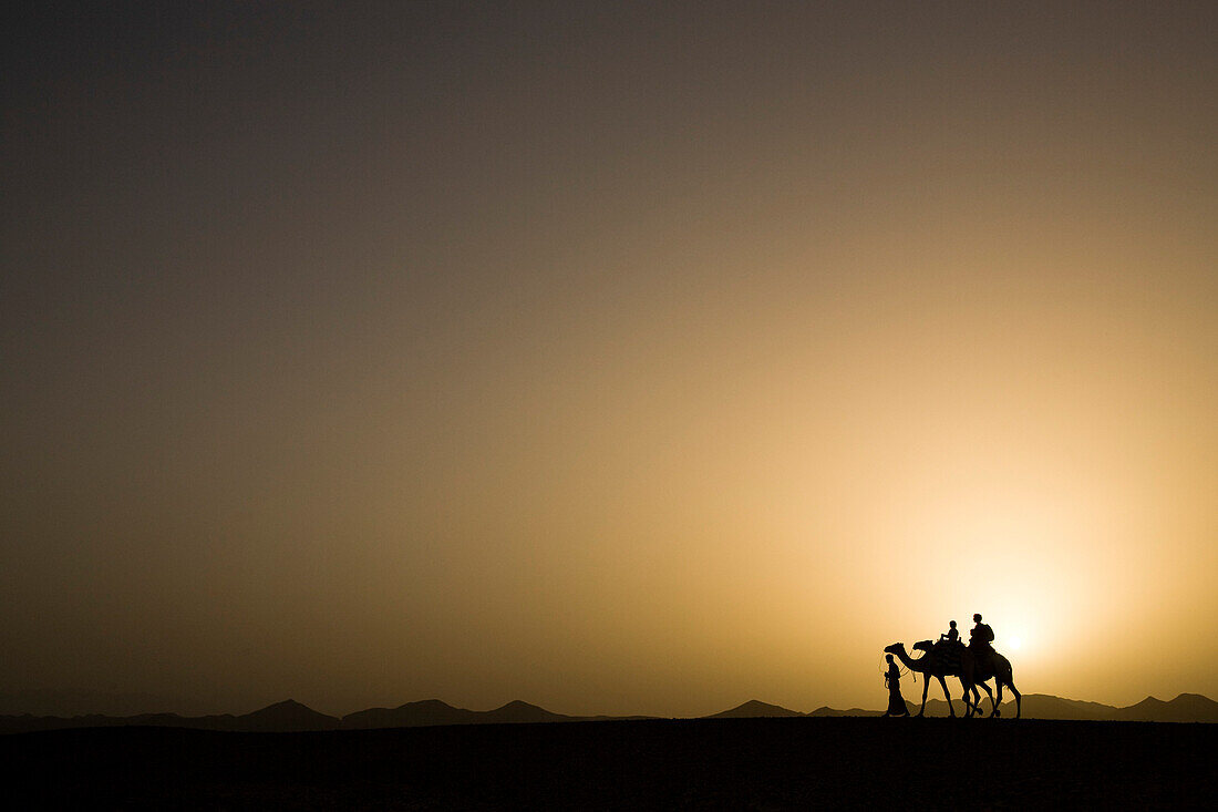 A man, a bedouin leading two camels with tourists, a mother and two children at sunset, Marsa Alam desert, Red Sea, Egypt