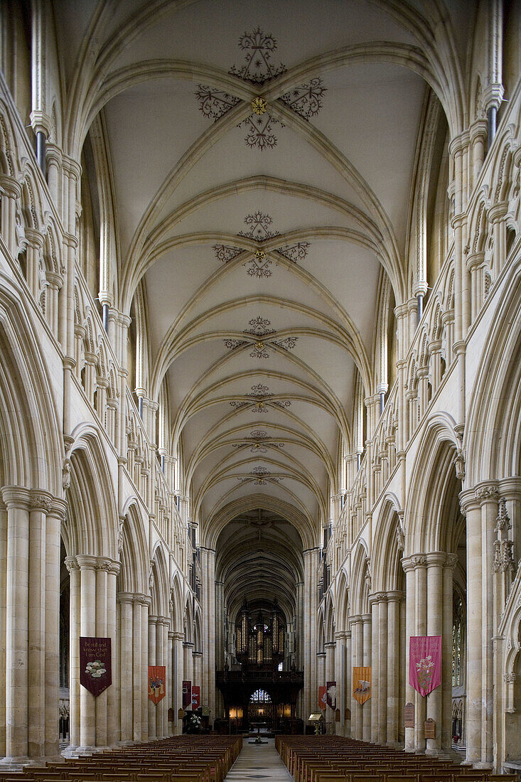 Beverley, Minster, founded in 8th century, built mainly 13th-14th centuries, Norman Nave, East Riding of Yorkshire, UK