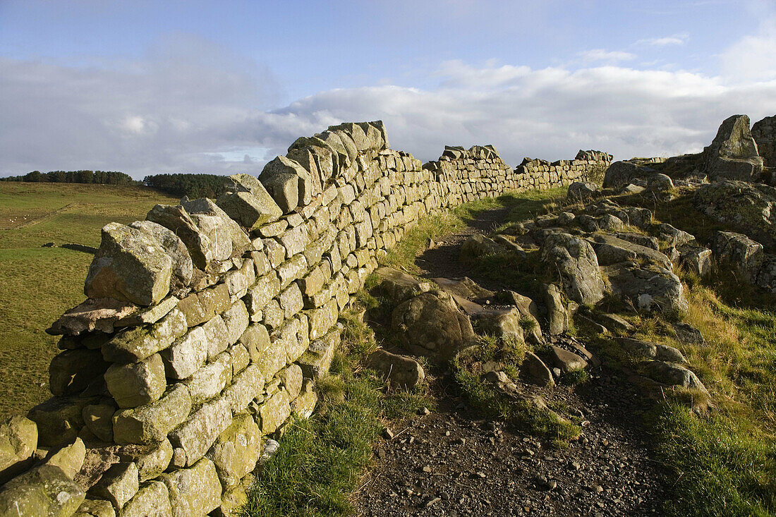 Hadrians Wall, Cawfields, near Steel Rig, Lake District, Cumbria, UK